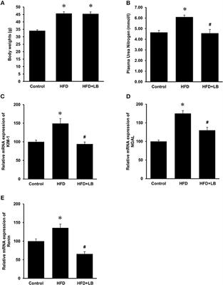 Inhibition of Inflammatory Cytokine Expression Prevents High-Fat Diet-Induced Kidney Injury: Role of Lingonberry Supplementation